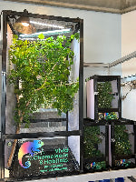 Load image into Gallery viewer, Size 24: 24&quot;x24&quot;x48&quot; Deluxe All-In-One WIFI Controlled Automated Chameleon kit -Black Frame back in stock by Jan 15 2026
