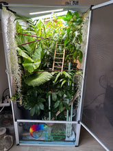 Load image into Gallery viewer, Size 24: 24&quot;x24&quot;x48&quot; Essential Chameleon Kit -Black Frame back in stock by Jan 15 2026
