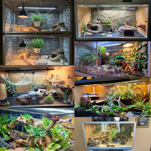 Load image into Gallery viewer, 4&#39;x2&#39;x2&#39; Meridian PVC Reptile Enclosure

