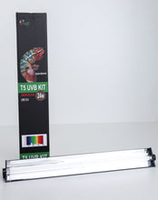 Load image into Gallery viewer, Size 16: 16&quot;x16&quot;x24&quot; All-In-One Essential Chameleon Kit
