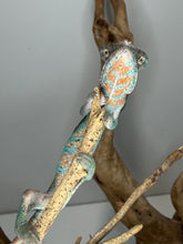 Load image into Gallery viewer, Slightly shy Ambilobe Panther Chameleon calmly perched on branch in natural pose
