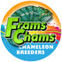 FramsChams Panther Chameleons