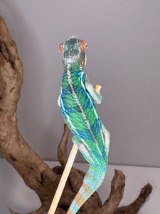 Rainbow Skittles Aslan x Flash Panther Chameleon juvenile available at FramsChams