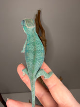 Load image into Gallery viewer, Overhead view of juvenile Nosy Be Panther Chameleon resting on hand
