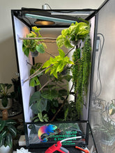 Load image into Gallery viewer, Size 18: 18&quot;x18&quot;x36&quot; Deluxe All-In-One Automated Chameleon Kit
