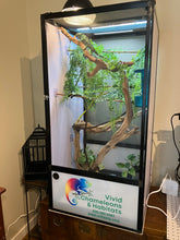 Load image into Gallery viewer, Size 24: 24"x24"x48" Ultra All-In-One Automated Chameleon kit -Black Frame Cage back in stock by Jan 15 2026
