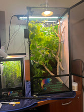 Load image into Gallery viewer, Size 16: 16&quot;x16&quot;x24&quot; Deluxe All-In-One Automated Chameleon Kit
