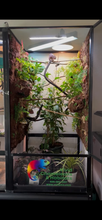 Load image into Gallery viewer, Size 24: 24&quot;x24&quot;x48&quot; Deluxe All-In-One WIFI Controlled Automated Chameleon kit
