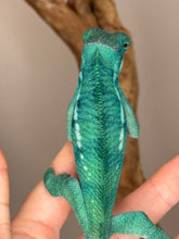 Load image into Gallery viewer, Close-up of True Blue Nosy Be Panther Chameleon’s back
